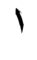 系统定制
